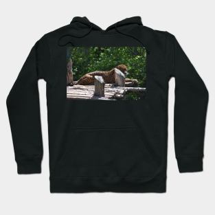 Jaguar Hoodie